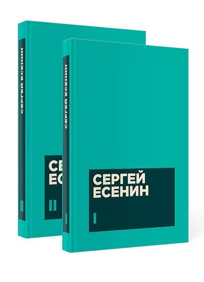 Есенин С. А. Собрание сочинений в двух томах — обложка издания