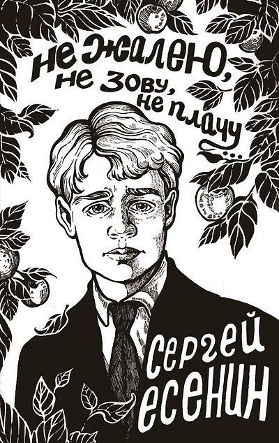 Не жалею, не зову, не плачу... — обложка издания