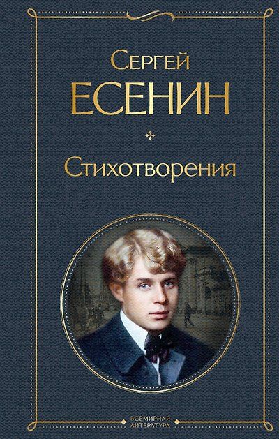 Стихотворения — обложка издания