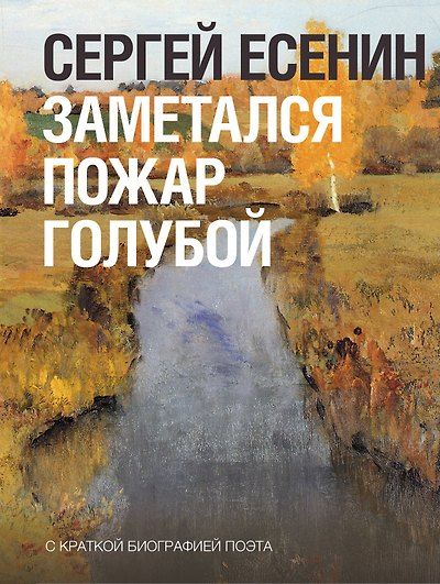 Заметался пожар голубой — обложка издания